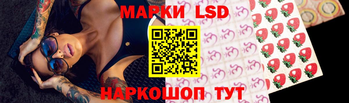 Елизово  OMG ссылки  Вход с VPN  ЛСД экстази кислота  ЛСД экстази ecstasy 