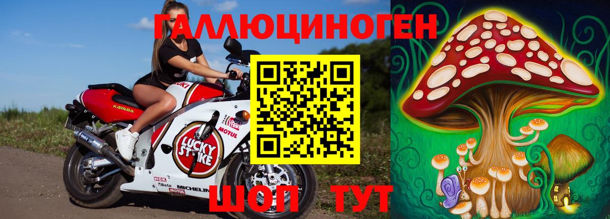 Елизово  Псилоцибиновые грибы Cubensis  Вход с VPN 