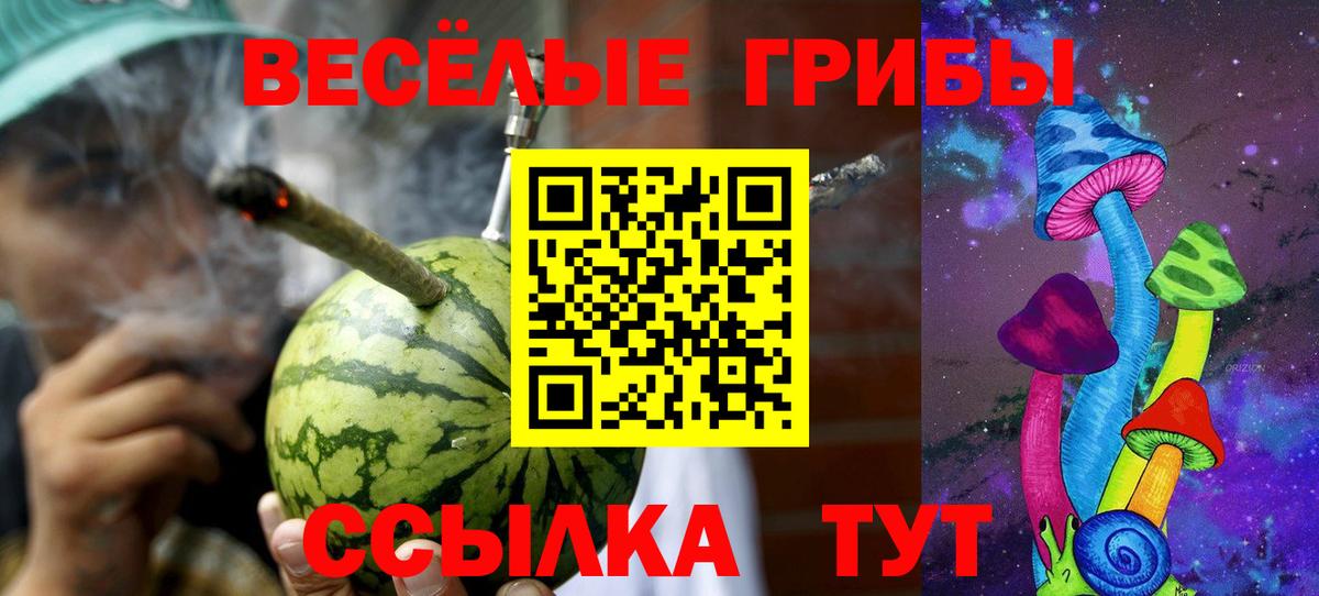 Псилоцибиновые грибы Cubensis Елизово